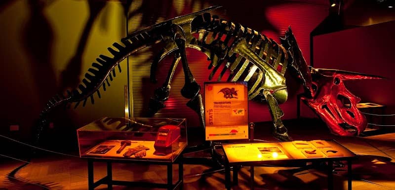 Reading Public Museum - Image 1