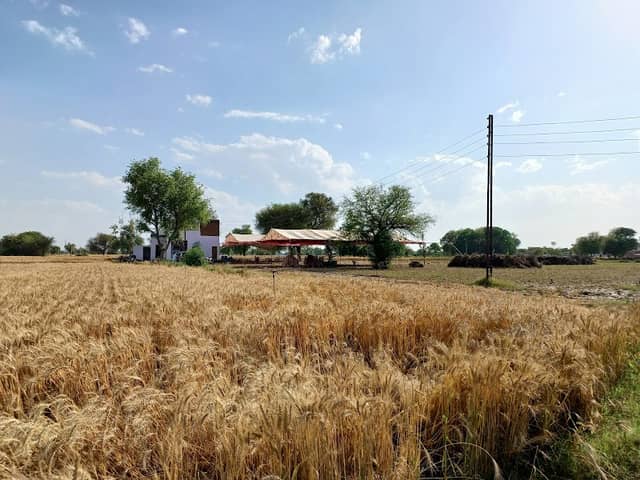Shree Ram farms - Image 1