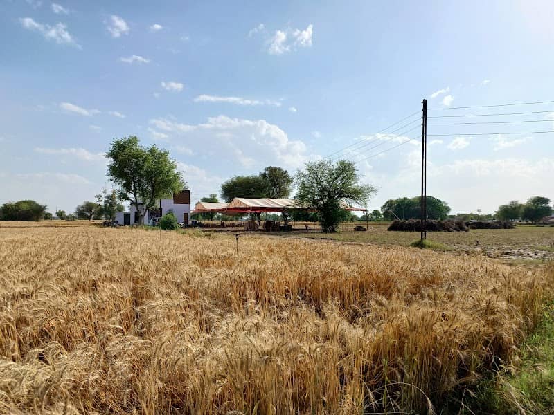 Shree Ram farms - Image 1
