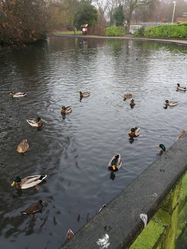 Coronation Park - Image 1