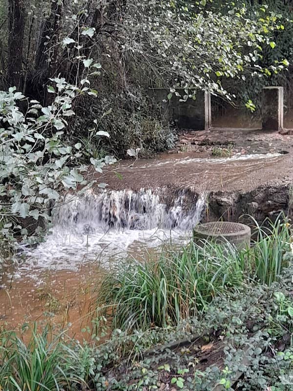 Parque de merendas de Moinho do Meio - Image 1