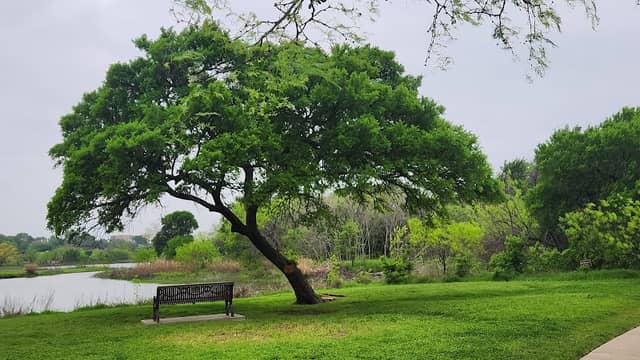 Nob Hill Greenbelt - Image 1