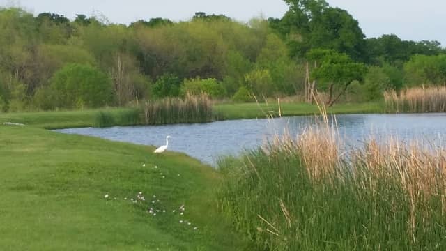 Nob Hill Greenbelt - Image 2