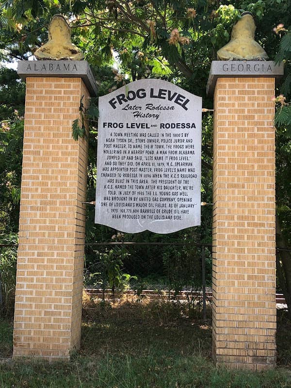Frog Level - Image 2