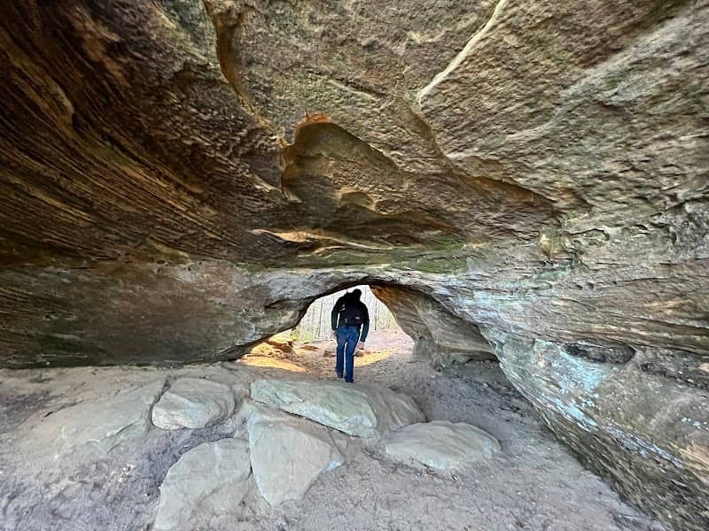Turtle Back Arch - Image 1