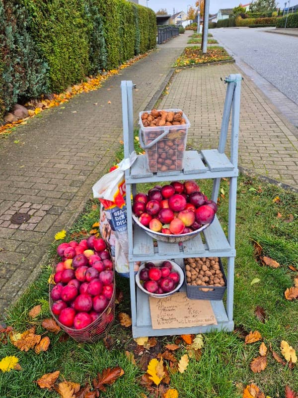 Obstkiste - Image 1