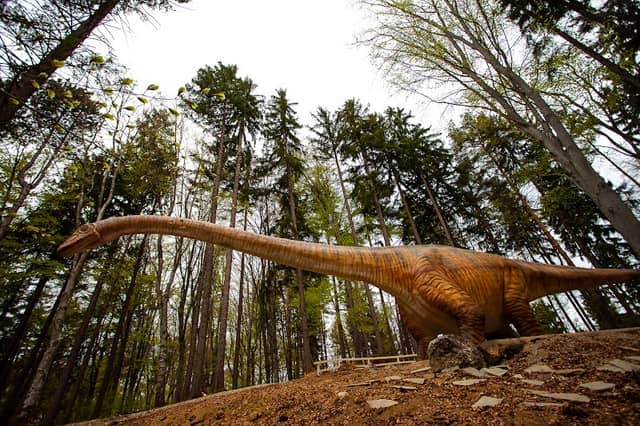 Dino Parc Râșnov - Image 1
