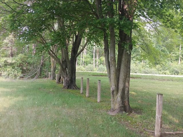 Hidden Park - Image 1