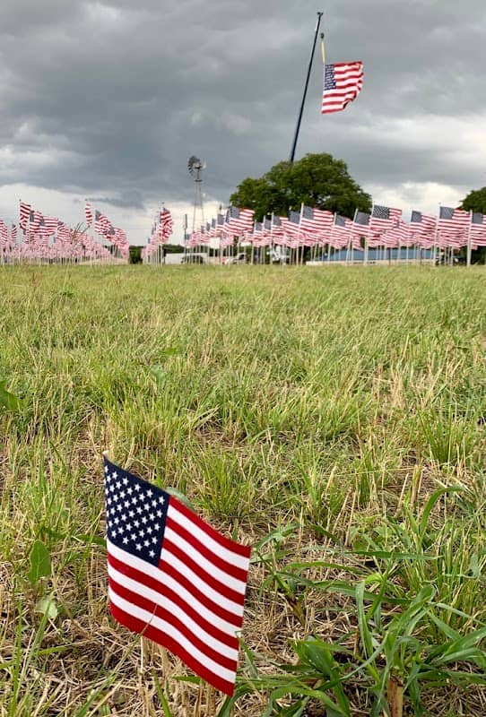 The Field of Flags - Image 3