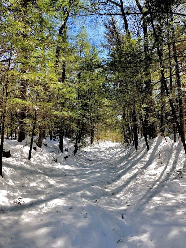 Sandback Wilderness - Image 1
