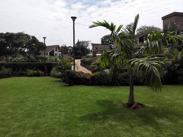 Tayiana Gardens - Image 2