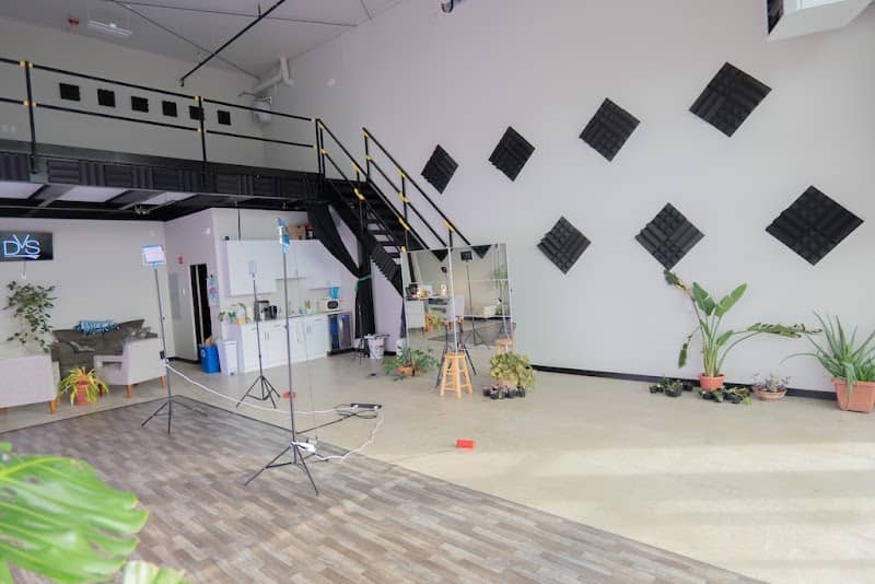 DVS Studio - Image 2