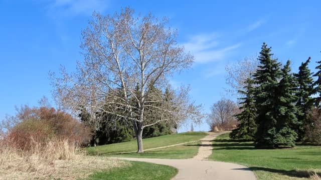 Ball Lake Island Park - Image 1