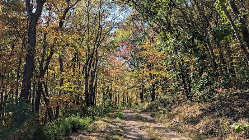 Yellow Creek State Park - Image 3