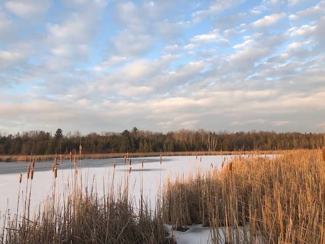 Stouffville Conservation Area and Reservoir - Image 1