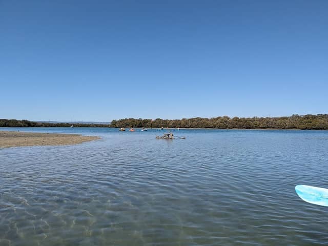 Torrens Island - Image 2