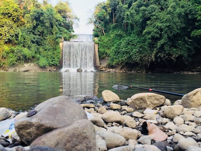 Kepulungan Niagara, Gempol, Pasuruan - Image 3