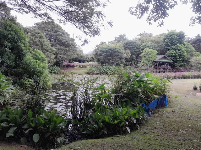 Liphon Garden - Image 1