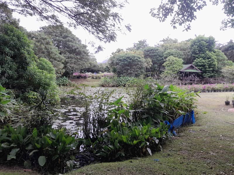 Liphon Garden - Image 1