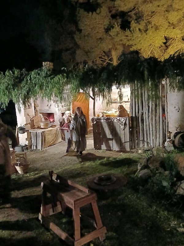 Pineta di faggiano - Image 2
