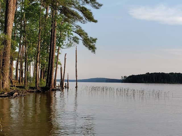 Jordan Lake State Recreation Area - Image 1