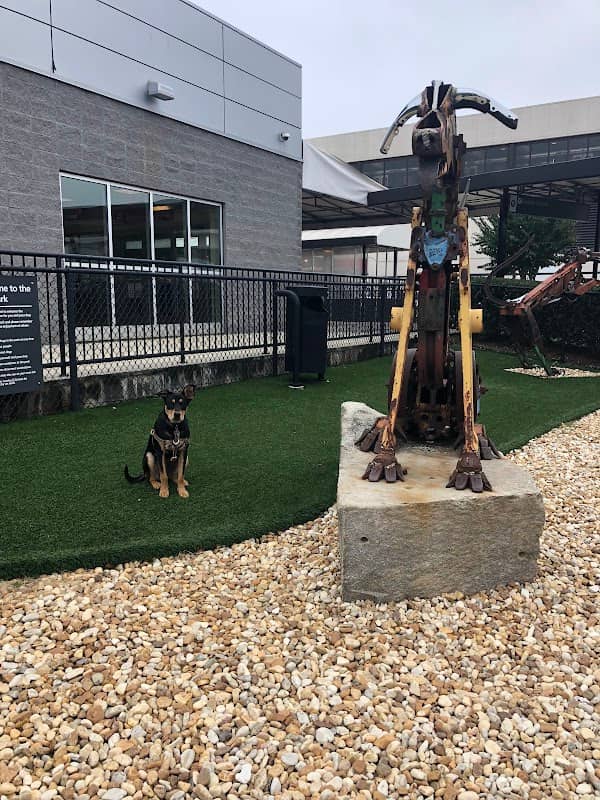 Hartsfield-Jackson Dog Park - Image 1
