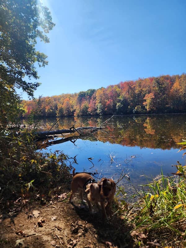 Lakeview Trailhead - Image 1