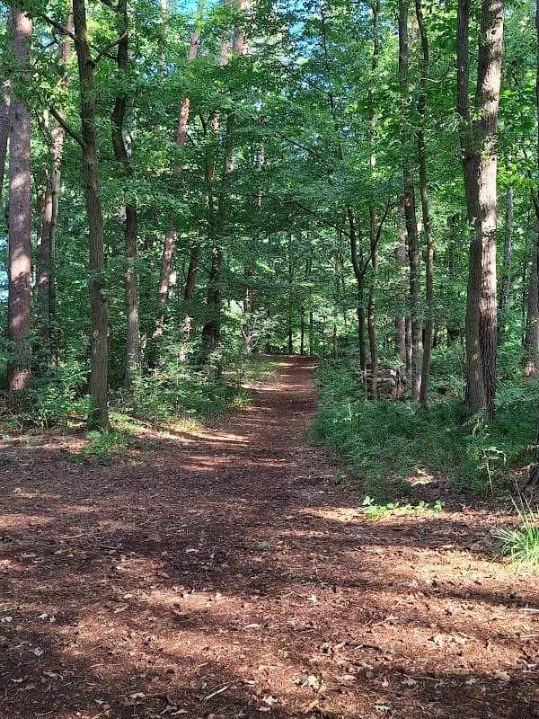 Park Allerhop - Image 1