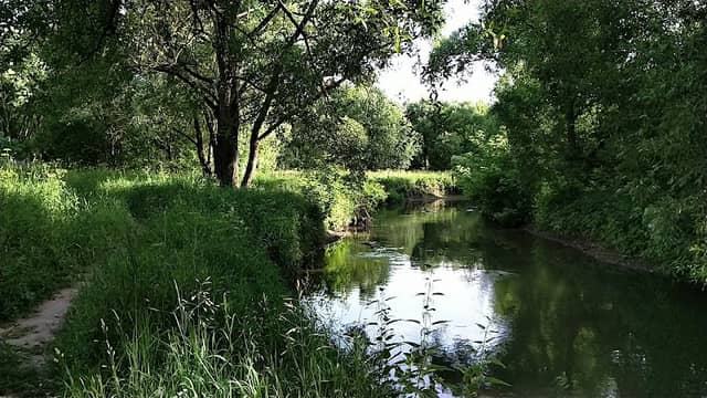Nature Reserve "Valley Setun River" - Image 1