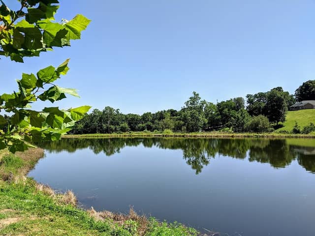Chapel Lake Park - Image 2