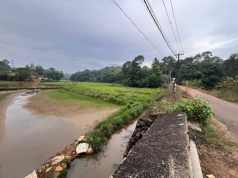 Sasthamkadavu - Image 1