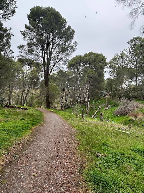 Highbury Aqueduct Reserve - Image 2