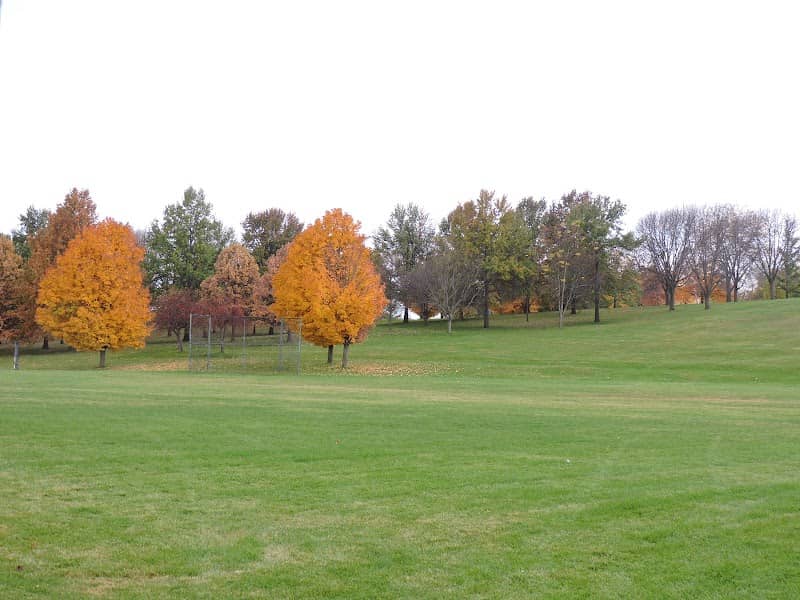 Bowman Woods Park - Image 1