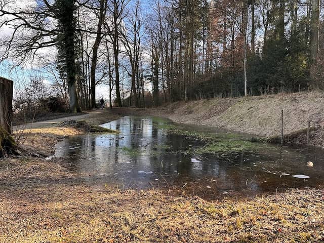 Waldweiher Oberholz Aarau - Image 1