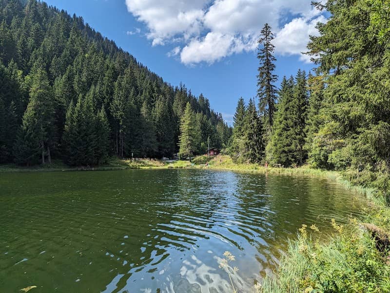 Lac et Marais de Morgins - Image 1