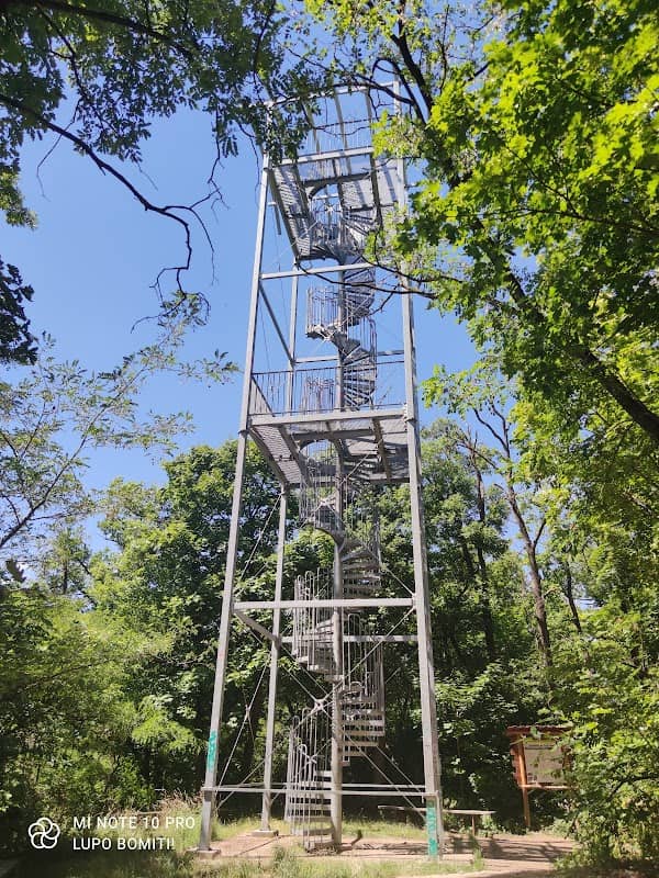Ostrá Horka Observation Tower - Image 1