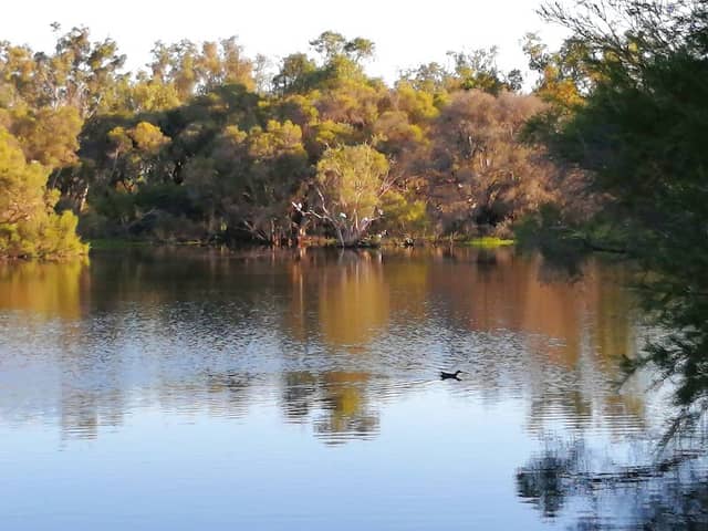 Jubilee Park - Image 2