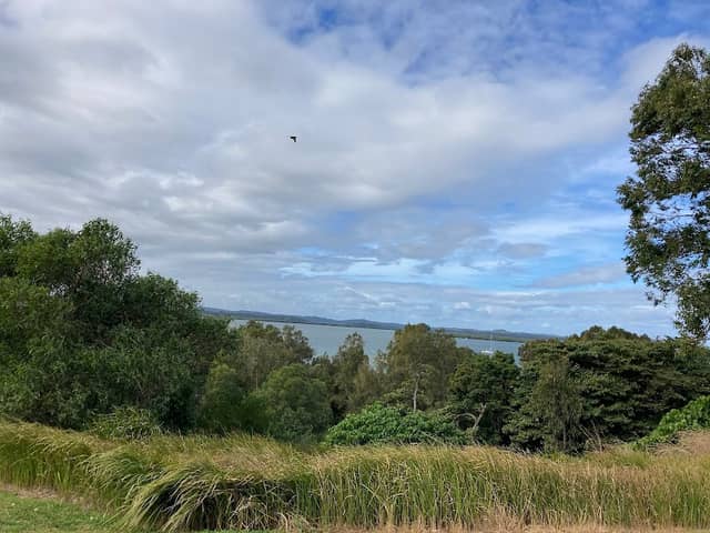 Wilson Esplanade Park - Image 1