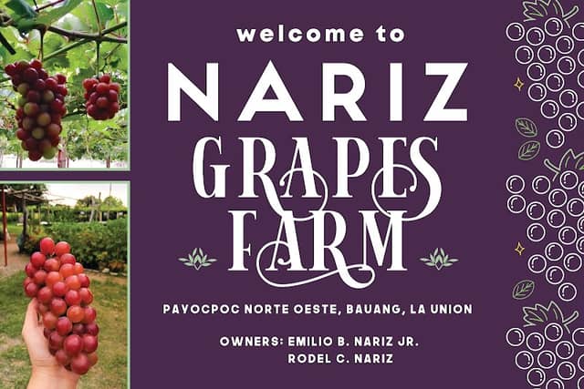 Nariz Grapes Farm - Image 1