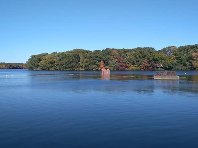 Central Pond Cross - Image 1