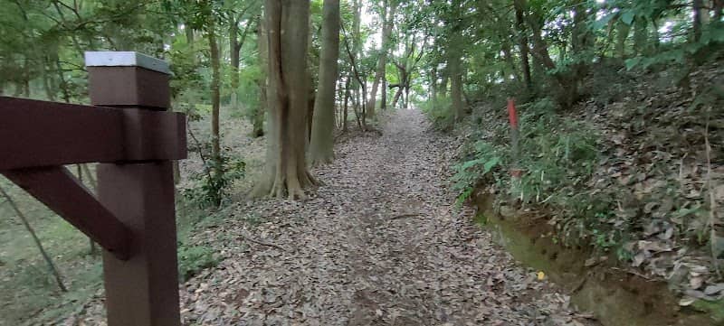 水性・湿性植物園 - Image 2