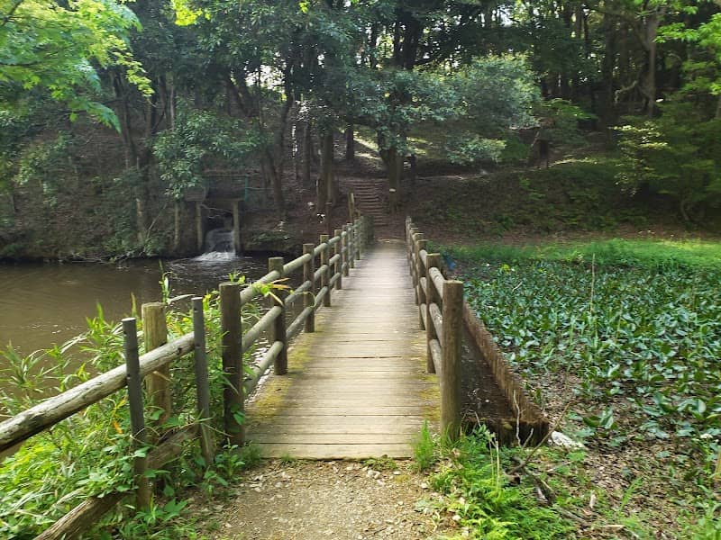 水性・湿性植物園 - Image 1