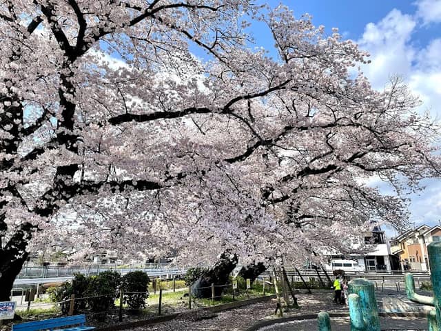 Okado Park - Image 1