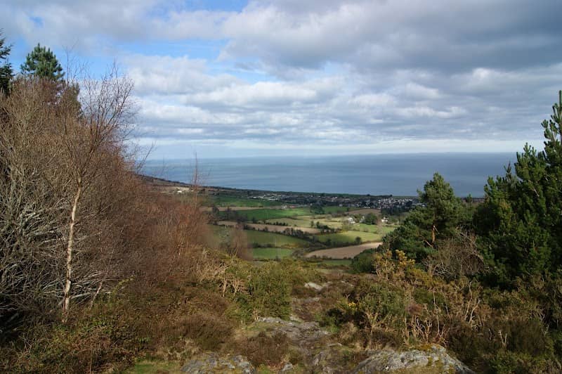 Kindlestown Woods - Image 1