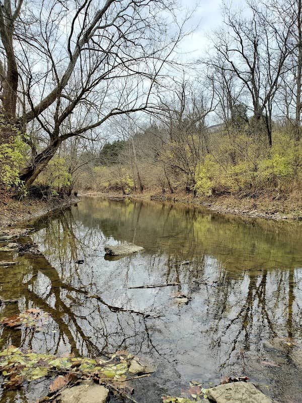 Wolsing Woods Trails - Image 1