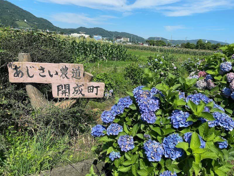 あじさい農道 - Image 1