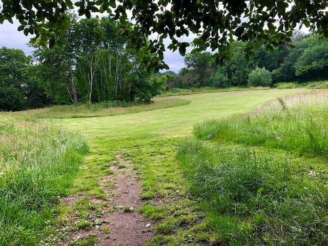 Knowle Hill Nature Reserve - Image 1