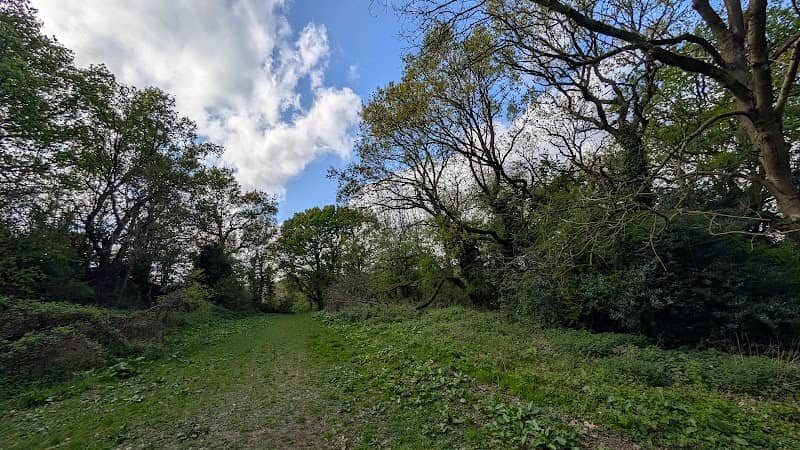 Knowle Hill Nature Reserve - Image 2