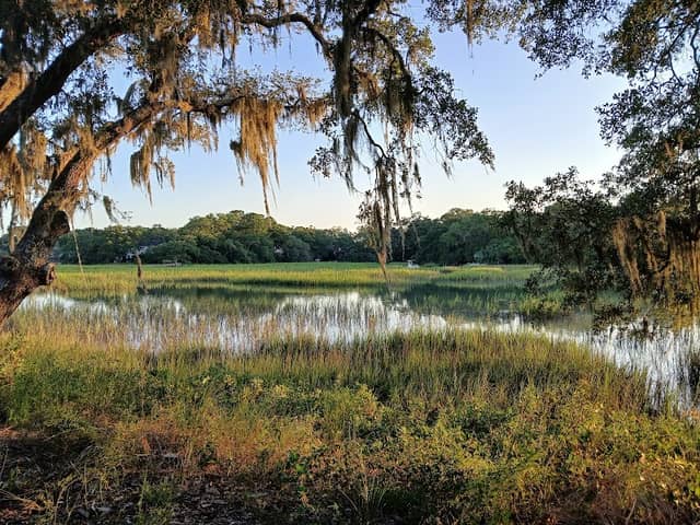Mill Point Park - Image 2