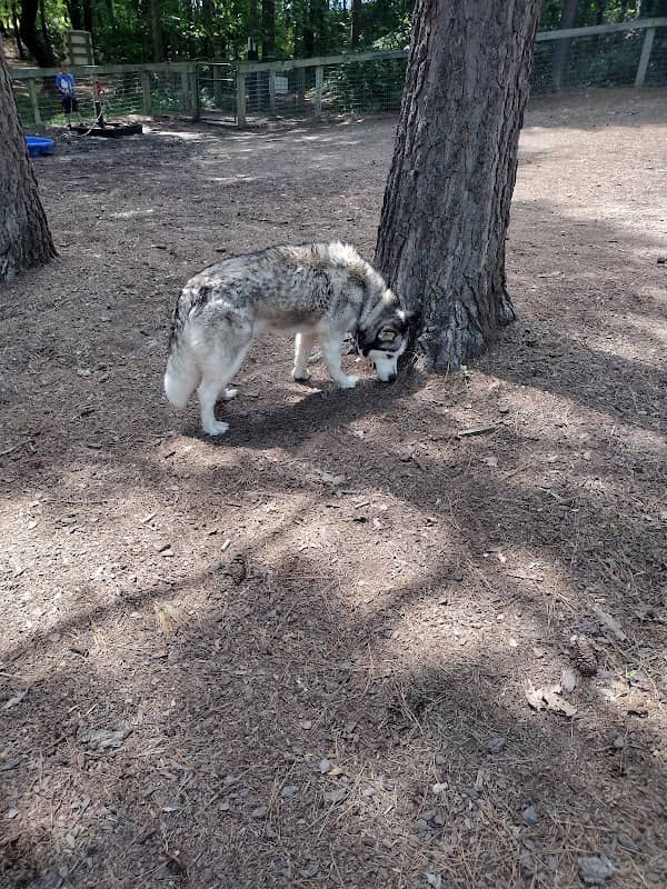 Crozet Dog Park - Image 2